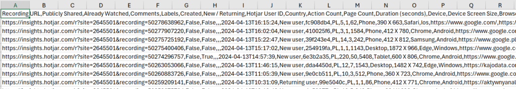 analiza zachowań klientów - nieobrobiony plik